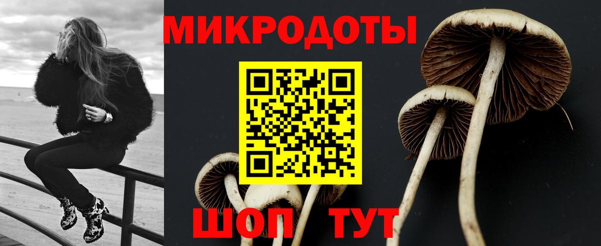 Галлюциногенные грибы прущие грибы  Вход с VPN  Всеволожск 