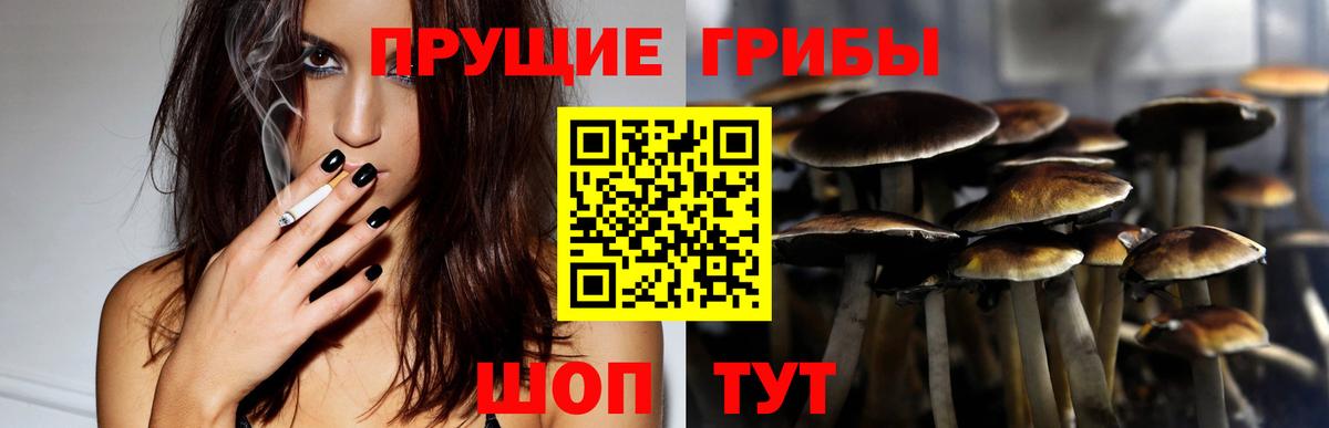 Псилоцибиновые грибы мицелий Всеволожск